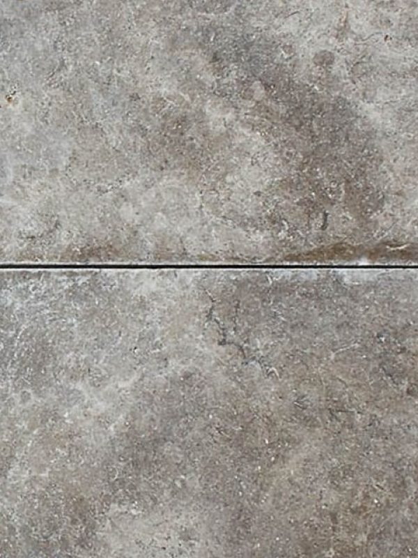 Melly Grey Fossils (1)