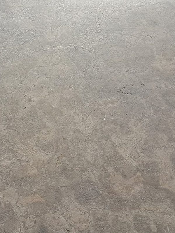 Melly Grey Fossils (2)