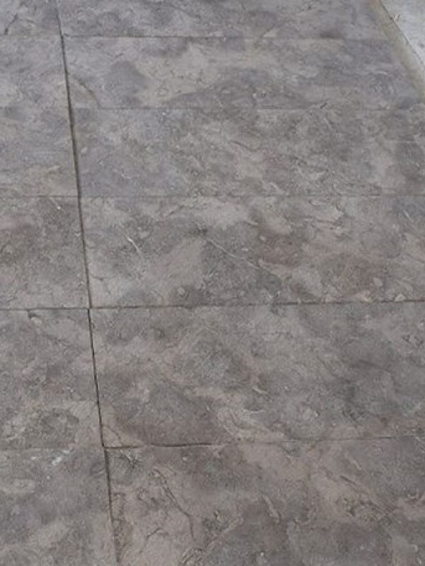 Melly Grey Fossils (4)