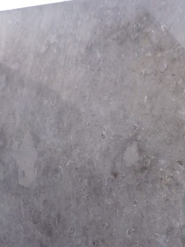 Melly Grey Fossils (5)