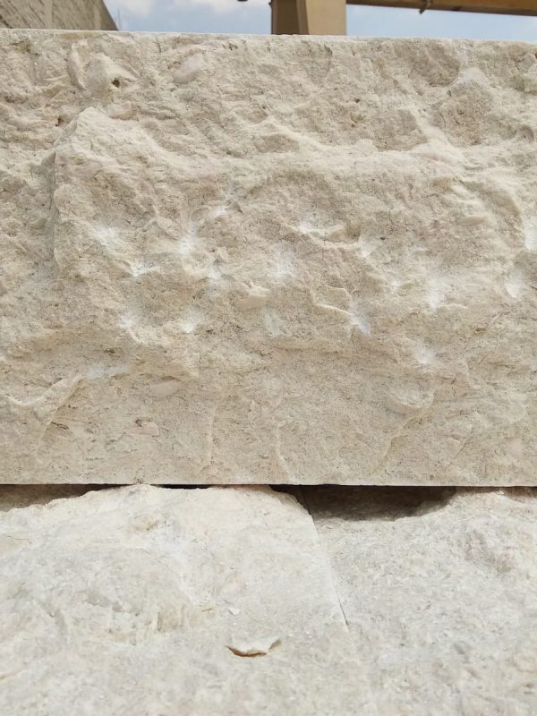 egyptianturkish-splite-face (11)