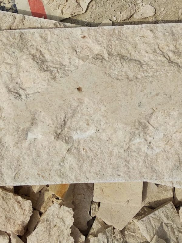 egyptianturkish-splite-face (13)