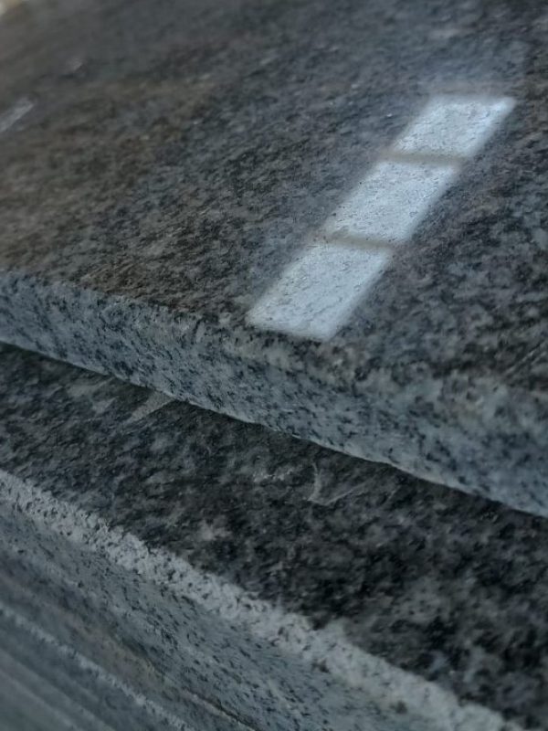 gray-elsherka (3)