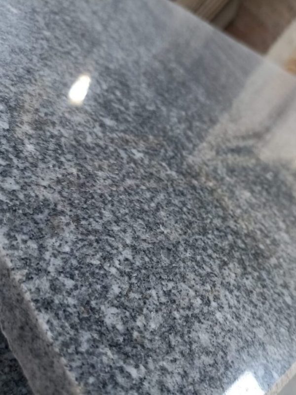 gray-elsherka (7)